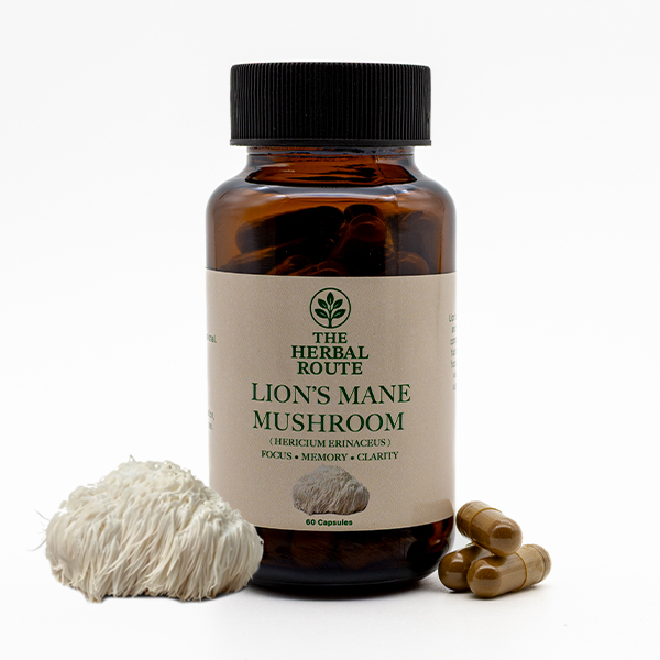 Lion’s Mane Mushroom (Hericium erinaceus)