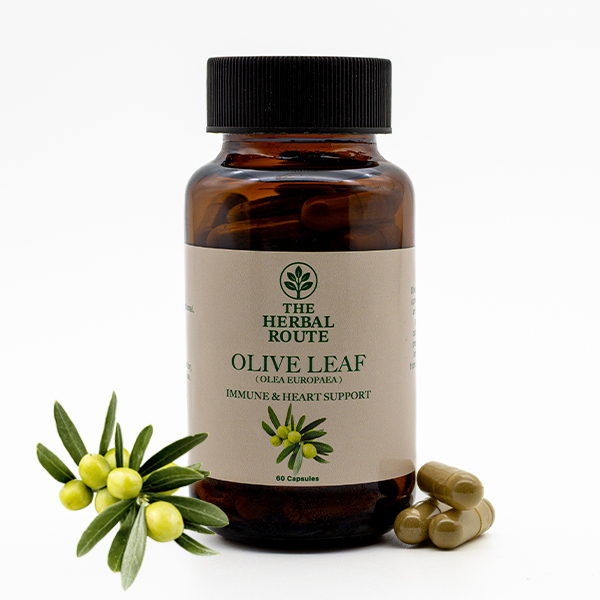 Olive Leaf